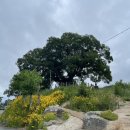 오동동183 | 창원마산::냠냠굿들과 여기저기 관광(동네술집, 마산오동동아구찜, 콰이강의다리, 해양드라마세트장...