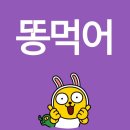 백수가 노는 법 -대구 편-