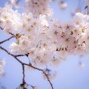 춘해보건대학교 이미지