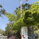 김포한강 4로 | 김포 베이커리 대형카페 아보고가 한강뷰｜주말 가족 방문 솔직 후기