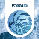 M앤S메디칼 이미지