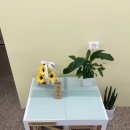 멍멍앤쿡 이미지