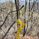 대남한의원 이미지