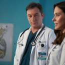 그린메디칼상사 이미지