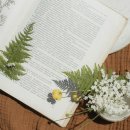 친환경인테리어 - 중구 병영성길 11 | 친환경인테리어