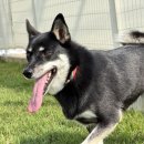 하우에버 포우에버 이미지