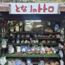 호수속의동화풍경 | 후쿠오카 렌트카 여행｜유후인 마을, 긴린호수·플로랄빌리지.미르히푸딩