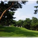 이순신 묘 이미지