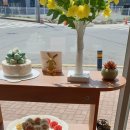 토카레풀 이미지