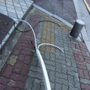 한국글로리 이미지