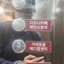 펫츠아일랜드 이미지