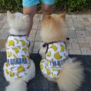 미미하우스 이미지