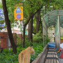 99밀크티 이미지