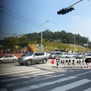 짱츄닭 - 용인시 처인구 | 짱츄닭