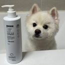 주식회사 아이조아바이오 | [코사이언스 개조아샴푸] 애견샴푸로 알아본 강아지핥는이유, 강아지피부염 해결 리얼후기