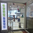 강아지 침치료 뜸 한약 두암한방동물병원, 가격, 주차