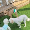 놀러왕왕왕 이미지