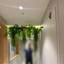 솔로사우나_레포 노량진점 이미지
