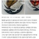 푸드 인 시스템 이미지