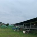 경북애견 이미지