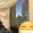 11650-17-105-10 | 도쿄 시오도메 호텔 빌라 퐁텐 그랜드 숙박 후기 | 슈페리어 퀸·역 직결·3박4일