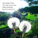 모든행정사사무소 이미지