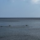 서진정비 | 묵호에서 혼자 20대 마지막 생일 보내기🎂 | 뚜벅이여행코스 | 숙소•맛집•카페 추천 | 총경비