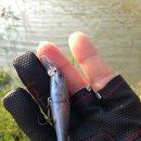 홍원교 옆 이미지