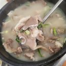 CU 마산육호광장점 | 마산 육호광장 현지인이 찾는 돼지국밥 노포 맛집 '돼지국밥집' 내돈내산 솔직 후기