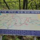 진밭1교 이미지