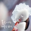오늘도, 봄