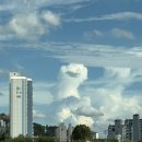 포레스트벨리캠프 이미지