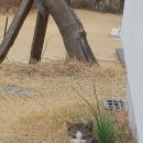 샘터농장 이미지