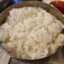 거북곰장어 이미지