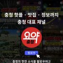충주중원문화재단 | 충주 문화예술 공연 국악이 사라졌다 관람 후기 재즈 미디어아트 융복합 무대 추천