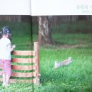 나비야놀자박물관 이미지