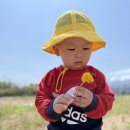 은호농장 이미지