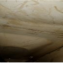 대구입석초등학교 이미지