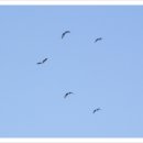 지금,여기 이미지