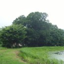 운대2리 이미지