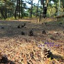 신안모텔 이미지