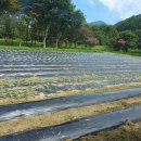 신리농장 이미지