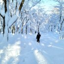 1월21~23일(무박1박3일)제주도 한라산, 윗세오름 눈산행 이미지