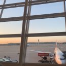 제삼농장 | 여행 ˙ᵕ˙ / 사우스팜 리조트 짧고 간단한 후기 + 사우스팜 농장 후기 ˙ᵕ˙ / 나는 다시가도 사우스팜!