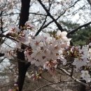 수승대모텔 이미지