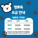 멍뽀득 이미지