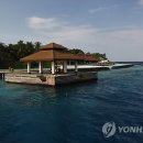 강화섬나라