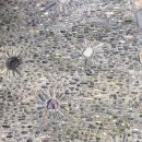 쁘띠방스 이미지