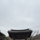 성호횟집 Daum카페