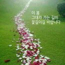 사뿐이